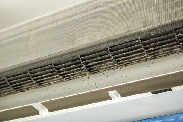 Best Air Duct Cleaning Company Near Me  in Magnolia, MS