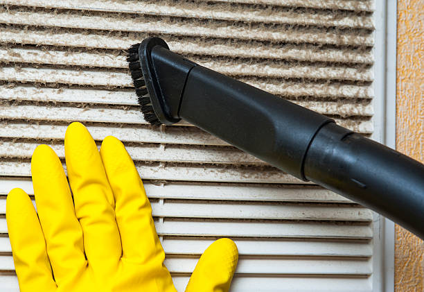 Best Dryer Vent Cleaning Services  in Magnolia, MS